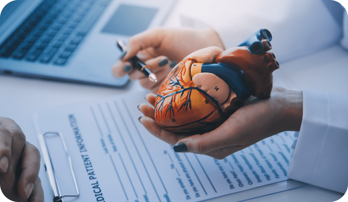 Cardiovascular Safety Studies 50_50